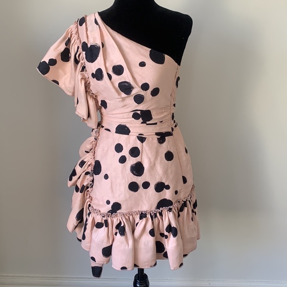 NWT Aje ‘Beronia’ Blogger Favourite Polka Dot Mini Dress Size 4 - Picture 6 of 12